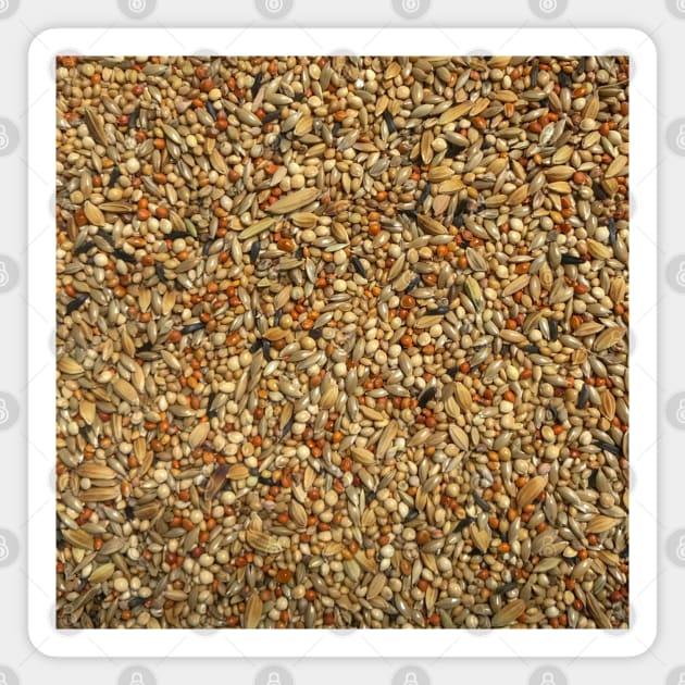 Seed (bird food) texture Magnet by FOGSJ